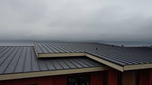 Fast & Reliable Emergency Roof Repairs in Freeburg, IL